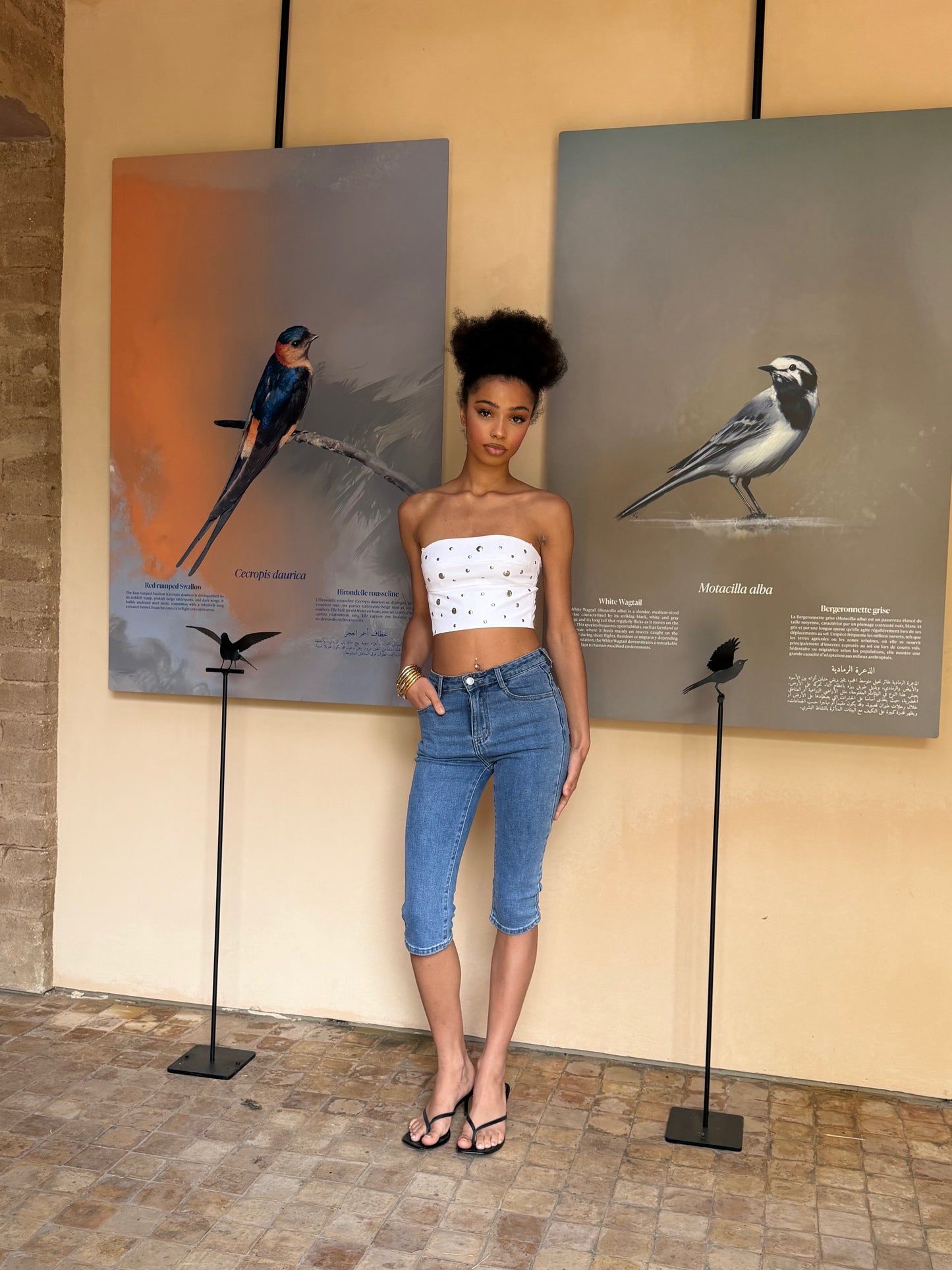 Jean Capri